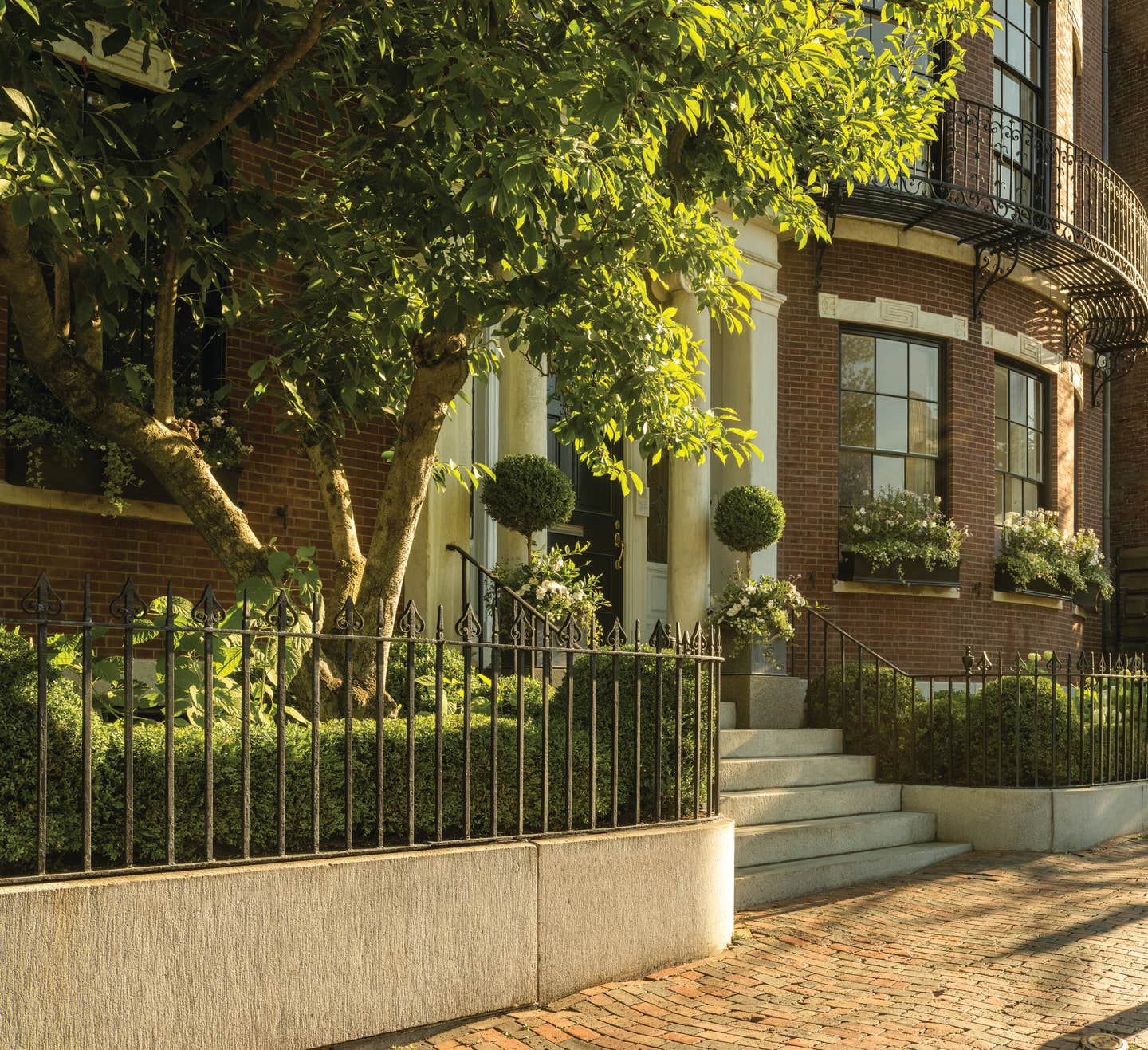 image-01---high-res-sm.jpg